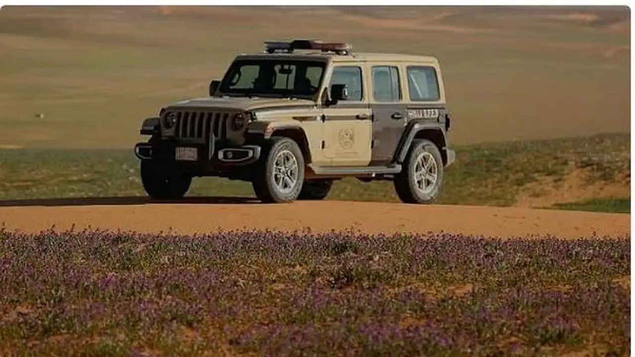 القبض على 3 مواطنين مارسوا الصيد المخالف داخل محمية الملك عبدالعزيز الملكية